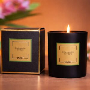 Cinnamon Citrus Scented Candles 220g